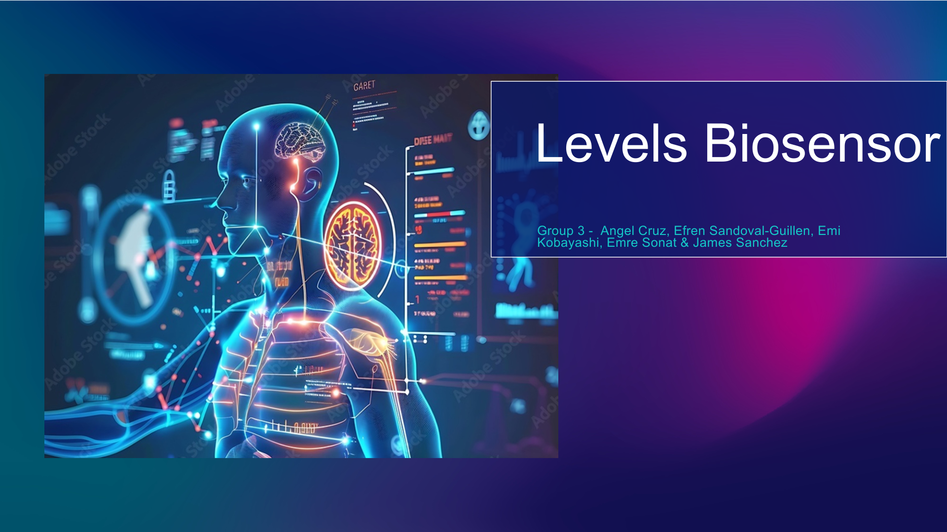 Levels Biosensor – Product Adoption & Go-to-Market Strategy Analysis preview